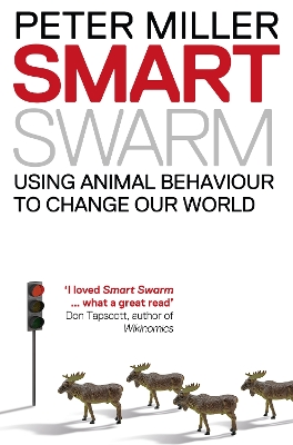SMART SWARM PB B FORMAT
