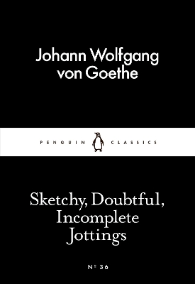 LITTLE BLACK CLASSICS : SKETCHY,DOUBTFUL,INCOMPLETE JOTTINGS PB