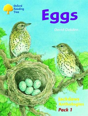 OXFORD READING TREE EGGS (STAGE 8) PB