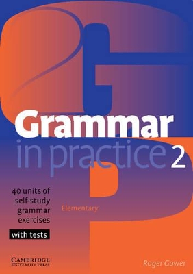 GRAMMAR IN PRACTICE 2 SB