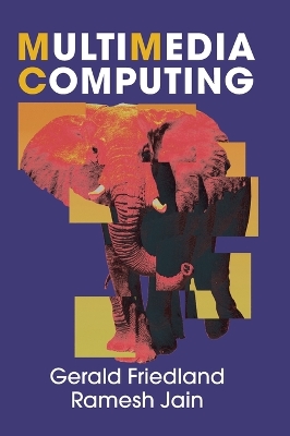 MULTIMEDIA COMPUTING