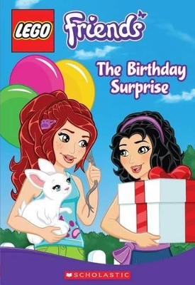 LEGO FRIENDS : THE BIRTHDAY SURPRISE PB