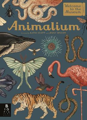 WELCOME TO THE MUSEUM: ANIMALIUM