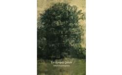 ΕΝ ΔΡΥΜΩ ΞΥΛΟΝ