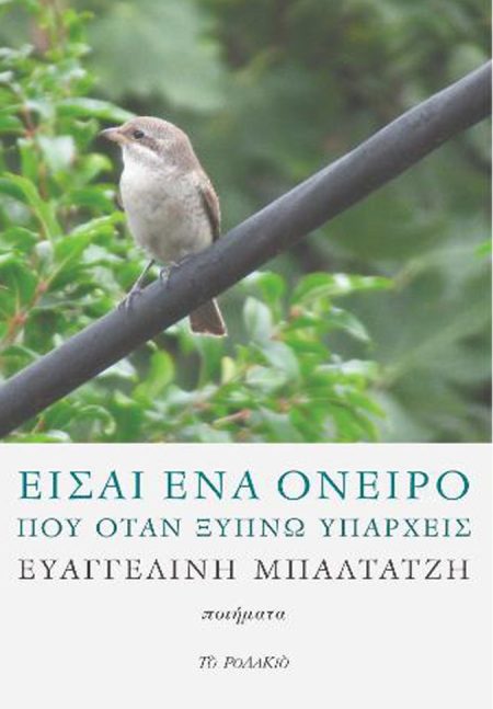 ΕΙΣΑΙ ΕΝΑ ΟΝΕΙΡΟ ΠΟΥ ΟΤΑΝ ΞΥΠΝΩ ΥΠΑΡΧΕΙΣ