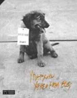 ΥΠΑΡΧΟΥΝ ΧΡΥΣΟΨΑΡΑ ΕΔΩ;