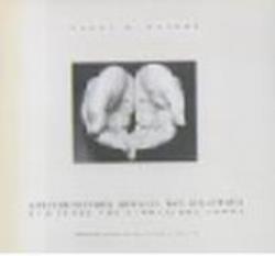 ΑΡΧΙΤΕΚΤΟΝΙΚΗΣ ΣΗΜΑΔΙΑ ΚΑΙ ΔΙΔΑΓΜΑΤΑ ΣΤΟ ΙΧΝΟΣ ΤΗΣ ΣΥΝΘΕΤΙΚΗΣ ΔΟΜΗΣ