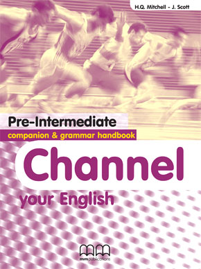 CHANNEL YOUR ENGLISH PRE-INTERMEDIATE COMPANION   GRAMMAR