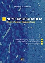 ΝΕΥΡΟΜΟΡΦΟΛΟΓΙΑ, Η ΛΕΠΤΗ ΥΦΗ ΤΟΥ ΝΕΥΡΙΚΟΥ ΙΣΤΟΥ ΑΤΛΑΣ ΚΥΤΤΑΡΙΚΗΣ ΝΕΥΡΟΒΙΟΛΟΓΙΑΣ ΜΕ 125 ΟΠΤΙΚΕΣ ΚΑΙ ΗΛΕΚΤΡΟΝΙΚΕΣ ΜΙΚΡΟΦΩΤΟΓΡΑΦΙΕΣ