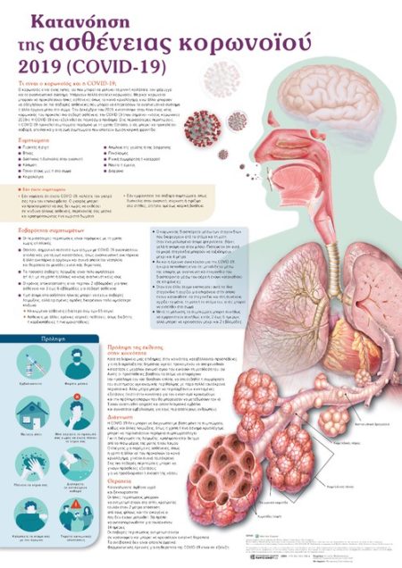 ΚΑΤΑΝΟΗΣΗ ΤΗΣ ΑΣΘΕΝΕΙΑΣ ΚΟΡΩΝΟÏΟΥ 2019 (COVID-19): ΑΝΑΤΟΜΙΚΟΣ ΧΑΡΤΗΣ
