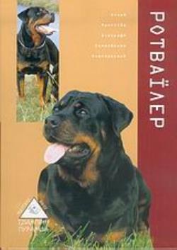 ΡΟΤΒΑΙΛΕΡ ΑΓΟΡΑ, ΦΡΟΝΤΙΔΑ, ΔΙΑΤΡΟΦΗ, ΕΚΠΑΙΔΕΥΣΗ, ΑΝΑΠΑΡΑΓΩΓΗ